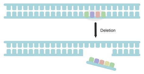 Genetic Modification Variation Definition 的图像结果