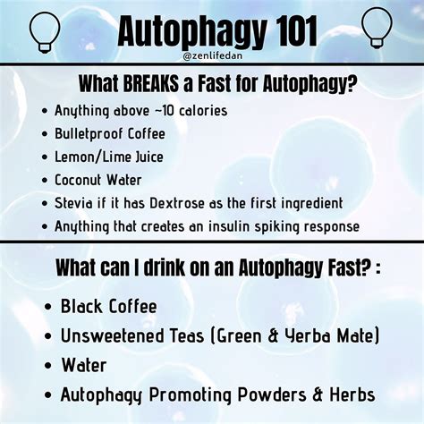Autophagy – How Fasting Eats the Body’s Own Damaged Cells & Shrinks Fat Cells