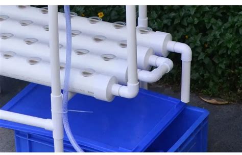 Build a NFT Hydroponic System Using 50Mm PVC 的图像结果
