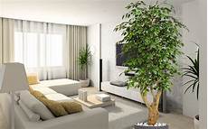 vasi per fiori ikea piante finte ikea vasi per fiori ikea piante finte ikea