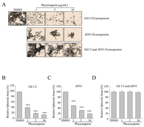 Correction: Yang et al. Lichen Secondary Metabolite Physciosporin ...