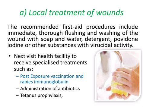 Rabies prevention and control | PPTX