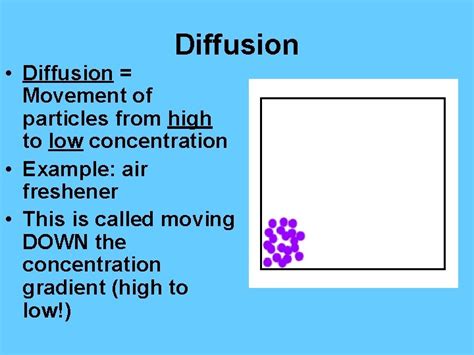 Diffusion 的图像结果