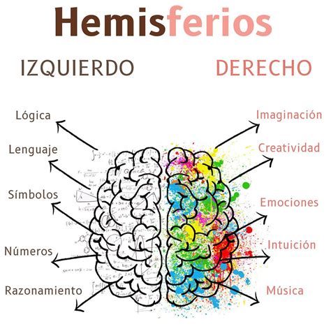 Diagrama Del Cerebro Izquierdo Y Derecho Diseño De Infografías Del