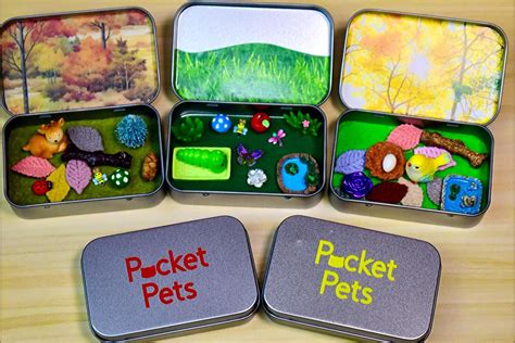 Pocket Pets - Forest & Farm Pets Edition - Etsy | Pocket pet, Mint tin ...