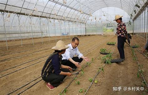 箍桶丘村图片_浙江省丽水市遂昌县高坪乡箍桶丘村