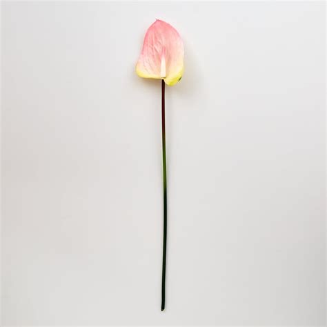 Buy Fiesta Artificial Anthurium Flower Stick - 76cm from Home Centre at ...