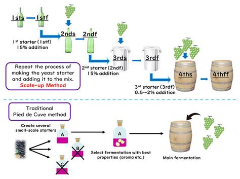 Wine Fermentation Process 的图像结果