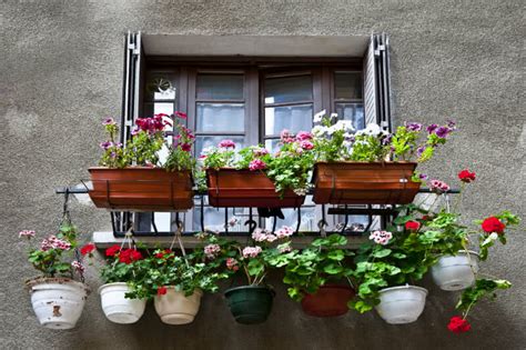 Space problem? Start with Container Gardening Planters – Ugaoo