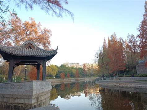 滁州市不动产地籍图查询服务2.0版上线_滁州市自然资源和规划局