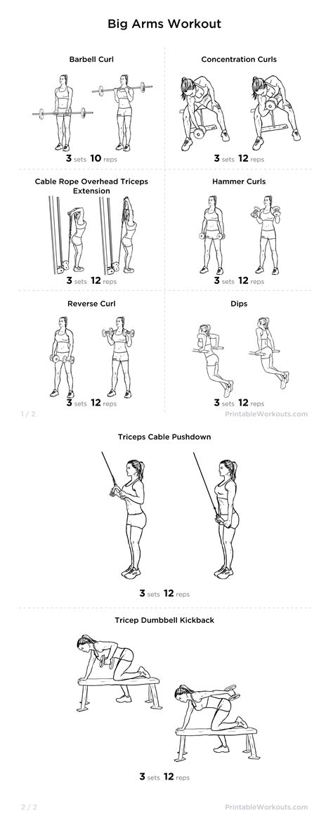 Big Arms Workout: Biceps & Triceps Exercises Printable Routine | Big ...