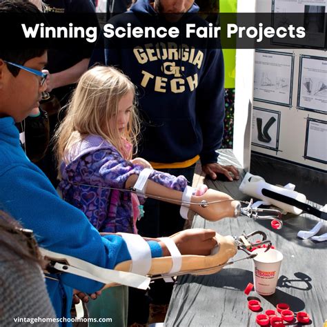 Winning Science Fair Projects 的图像结果