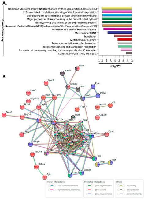 In Vivo Investigation of the Effect of Dietary Acrylamide and ...