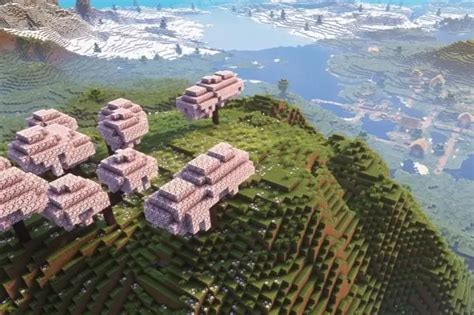 Best 1.17 Seeds Java 的图像结果