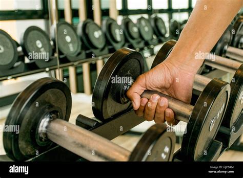 Gym Exercise 的图像结果