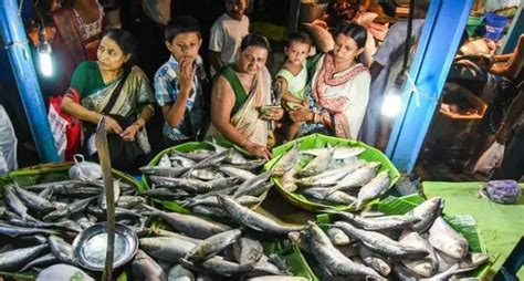 Padma Hilsa Returns After 8 Years | WhatsHot Kolkata