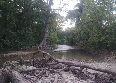 Camp Ben McCulloch Camping | The Dyrt