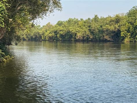 JAKE THE SNAKE BOAT TRIP (2026) All You Need to Know BEFORE You Go ...