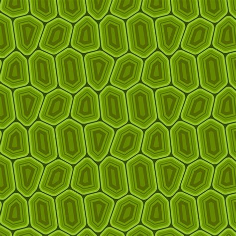 Turtle Shell Pattern Vectors & Illustrations for Free Download | Freepik