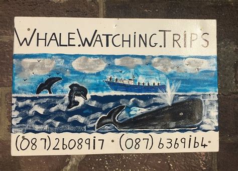 Deep Sea Charters at Dunmore East - All You Need to Know BEFORE You Go