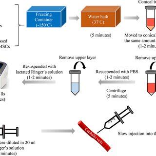 Cell Injection 的图像结果