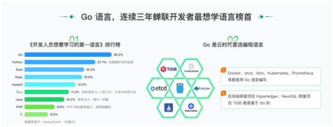 Go API Course 的图像结果