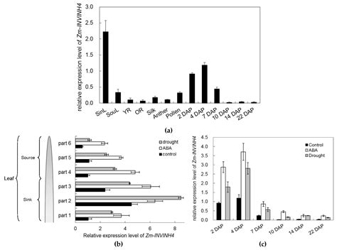 Functional Characterization of a Drought-Responsive Invertase Inhibitor ...