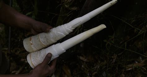 Laughter and Fieldwork in Nagaland: A Dialogue - Azim Premji University