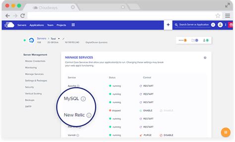 MySQL Host 的图像结果