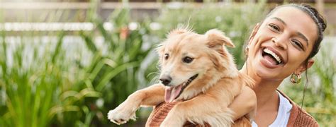 Animal Hospital in Bloomington, Illinois | Kruger Animal Hospital