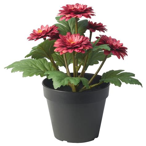 IKEA FEJKA Artificial Chrysanthemums - Indoor/Outdoor Potted Plant ...