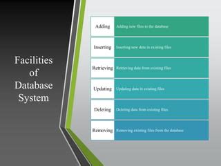 Image result for File Processing System in DBMS