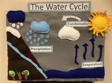Water Cycle Station Activity at Kenton Williams blog