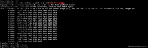 Hcpp IP Network Dump Free 的图像结果