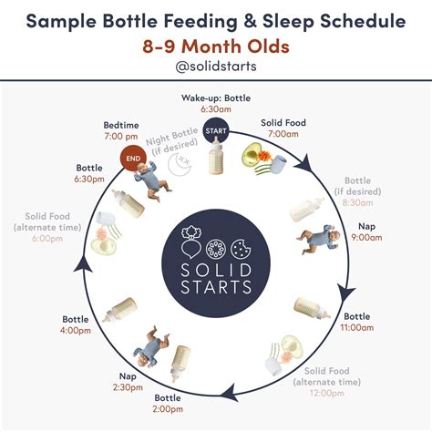 Baby Feeding Schedules - 6 to 24 Months - Solid Starts