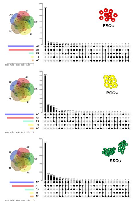 Characterization of Alternative Splicing (AS) Events during Chicken ...