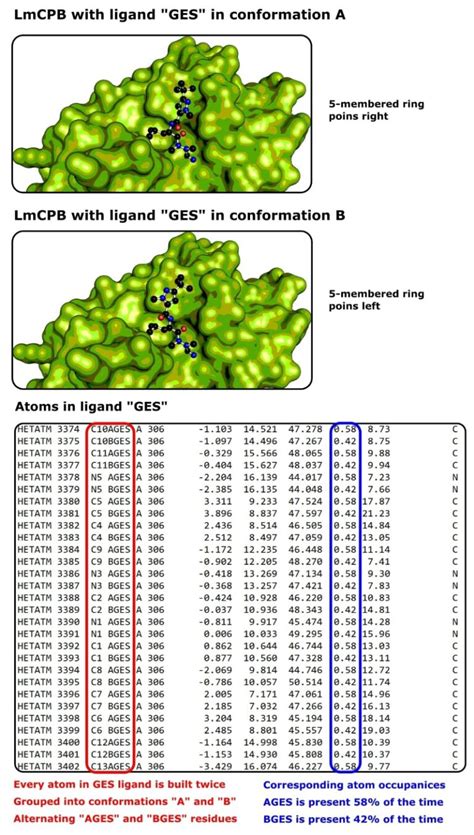 Image result for Protein Data Bank Protein Structure Visualization