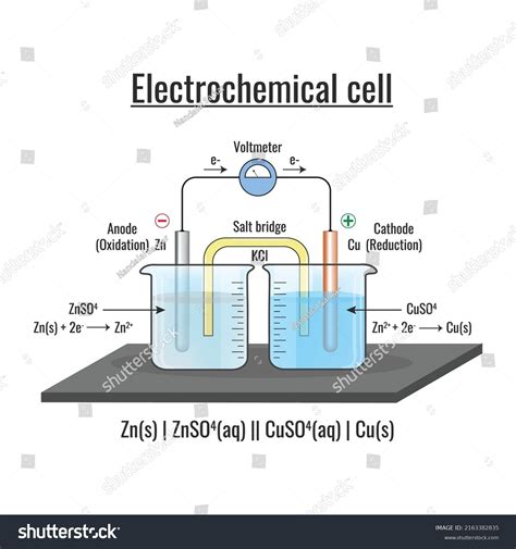 Galvanic Cell Diagram