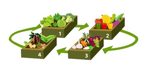 Crop Rotation: A way to boost - Smart Gardener