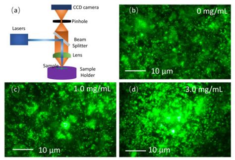 Organic and Perovskite Optoelectronic Materials and Devices