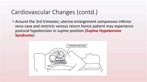 Pregnancy and dentistry | PPTX