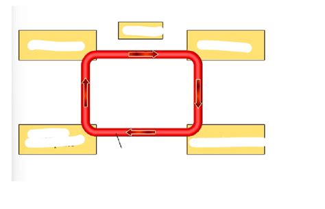 Image result for Positive Feedback Loop Endocrine System