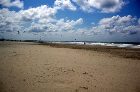 7 Beaches In Amsterdam To Rejuvenate Your Soul In 2026