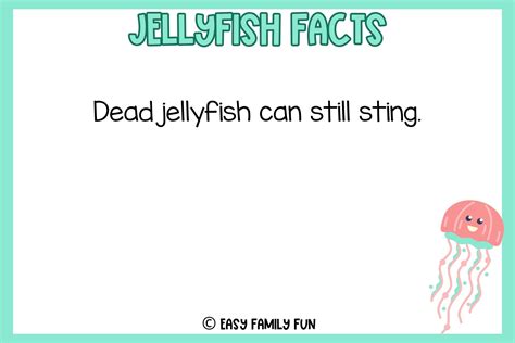 Dive Into These Facts About Jellyfish [Free Fact Cards] - Easy Family ...