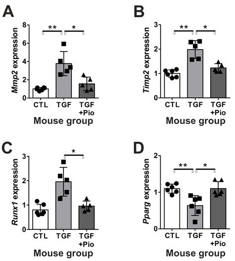 Pioglitazone Protects Tubular Epithelial Cells during Kidney Fibrosis ...