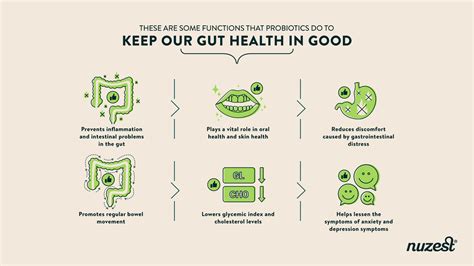 Do Probiotics Cause Bloating? Learn How Probiotics Work! – Nuzest SG