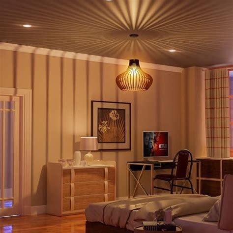 Buy Homesake Hanging Pendant Ceiling Light (Copper, Black) Online at ...