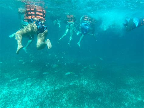 All Inclusive Caribbean adventure, reef snorkeling with Food and Drinks ...