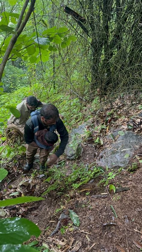 जिंदगी की उम्मीद भरी तस्वीर! केरल के जंगलों से आई चमत्कार की कहानी... 5 ...