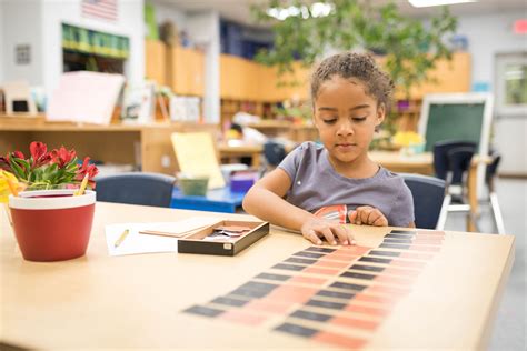 Planes of Development - Omni Montessori School